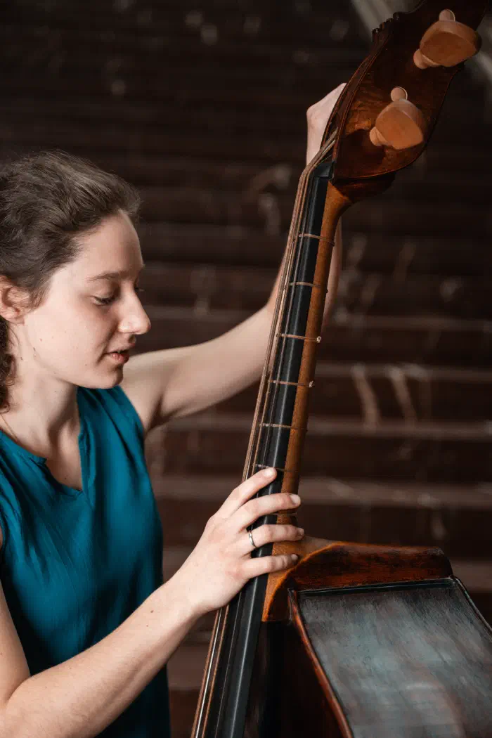 Violone 2